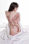 $tatuagem-de-flor-de-cerejeira-nas-costas_large.jpg