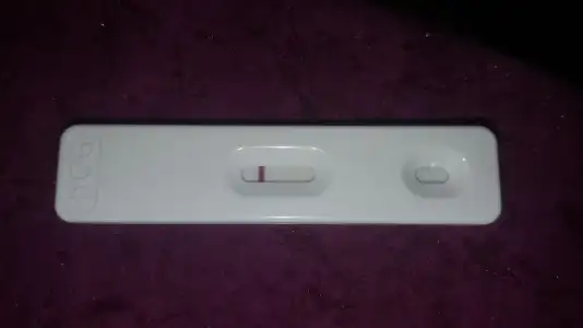 20200320_181431.webp