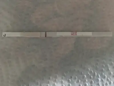 AB7970D2-038E-4452-BBF5-E99FC7DE4D27.webp