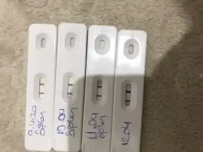 686D1CAF-C11C-4ED8-912A-152B6BC952B9.webp