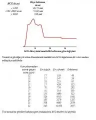 $beta değerleri 1.webp