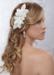 $the-bridal-hair-accessories.jpg