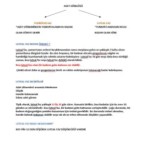 LUTEAL.webp