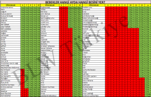 en-son-hangi-ayda-ne-yenir-tablosu.png
