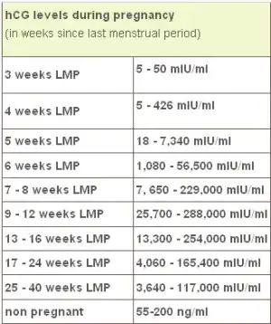 Slow-Rising-hCG-Levels-Concerns-and-Complications.webp