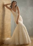 $jim-hjelm-bridal-crystal-ribbon-embroidered-fit-flare-silhouette-gown-v-neck-floral-chapel-train.jpg