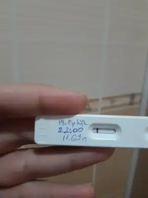 20200919_221937.webp