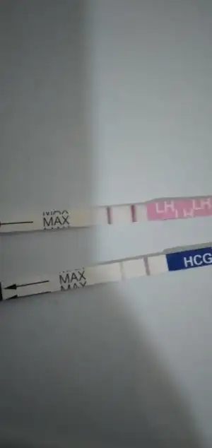 20201006_192715_mfnr.webp