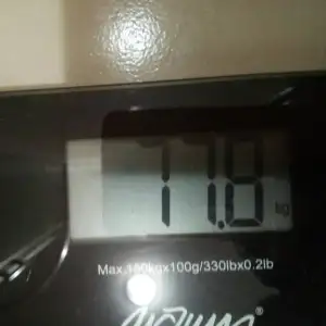 IMG_20201211_224942_143.webp
