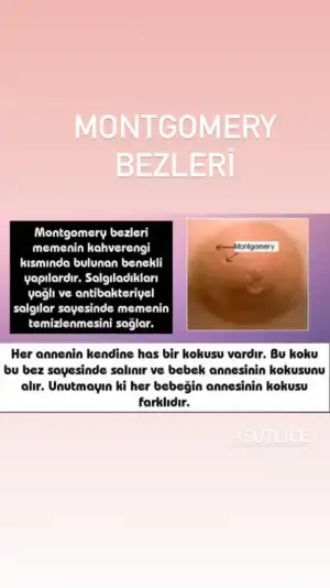 E26F2212-BB47-40DE-B0ED-4D3971BD0B20.webp