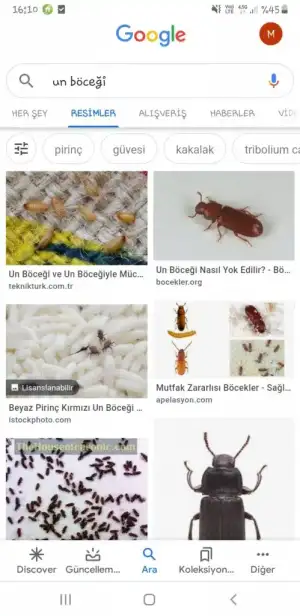 Screenshot_20201227-161044_Google.webp