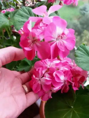 CYMERA_20201201_145411.webp