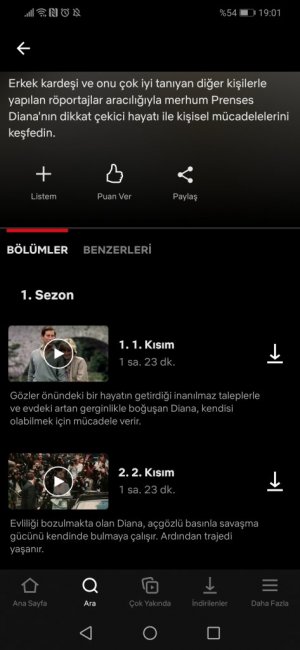 Screenshot_20210117_190200_com.netflix.mediaclient.jpg