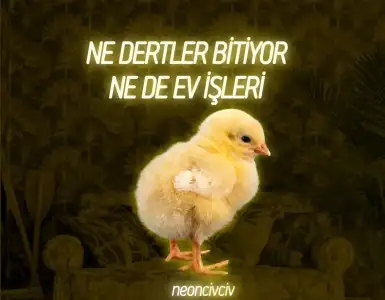20210120_141728.webp