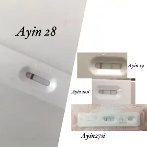F8E1905E-E9B1-4E18-B74C-EC1B52B08EF4.webp