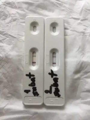 C16E2DA1-F0AB-4EE8-B9A3-5A6682A1B485.webp