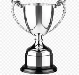 kisspng-trophy-silver-cup-award-engraving-trophy-photo-png-5ab16f27b606b9.9434678315215777677...webp