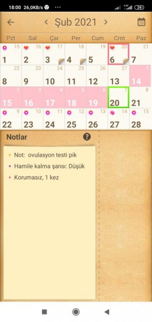 Screenshot_2021-02-20-18-00-09-027_com.popularapp.periodcalendar.jpg