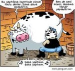 $karikat&#252;r.jpg