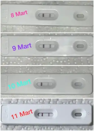 8D248DEE-7F49-470A-B05E-4C5FBAEDAF8A.webp