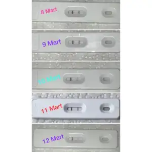 173D16E7-1DF4-45C3-A950-A81C505A6051.webp