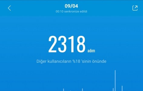 Screenshot_20210410-001122_Mi Fit.jpg