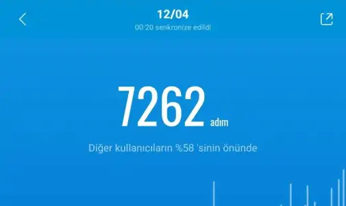 Screenshot_20210413-002106_Mi Fit.webp