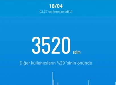 Screenshot_20210419-023811_Mi Fit.jpg