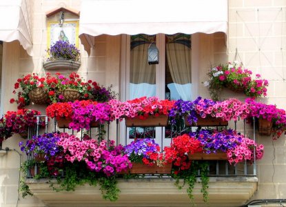 Balkon Bahçesi İçin İlham Veren En İyi Fikirler