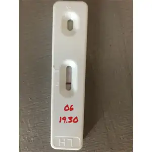 BB0144FB-548B-4EAF-931C-48C8962E6046.webp