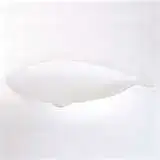 $thumbnailCA2AYVM0.webp