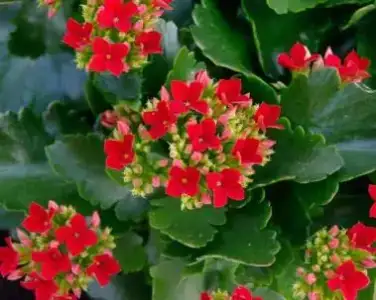 images-2.webp