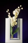 $Vase-Orchidee-Blumen-Deko-Weiss-28x20-cm.jpg