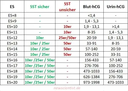 hcg-tabelle-ab-wann-schwangerschaftstest-sicher-1.webp