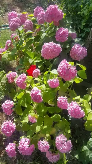 20210626_165327.webp