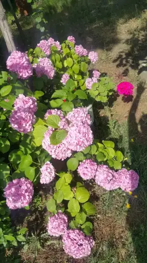 20210626_165229.webp