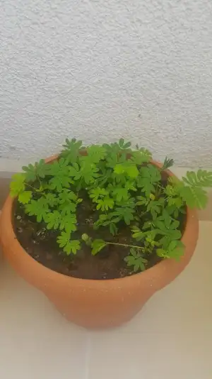 20210630_134828.webp