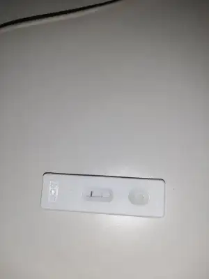 16283385370614662743857864477987.webp
