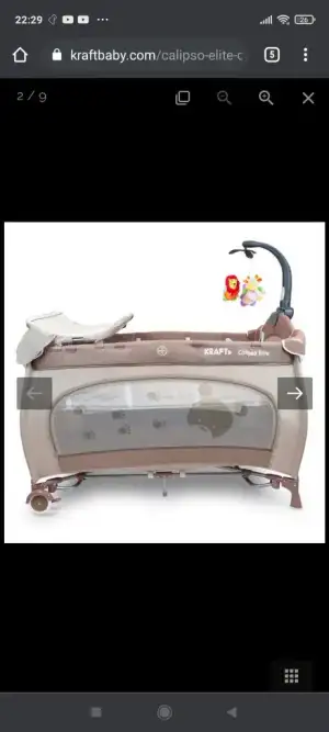 Screenshot_2021-08-08-22-29-14-102_com.android.chrome.webp
