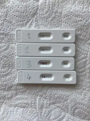 69B0C3AA-CE7E-44BC-81D5-405202CF34C9.webp