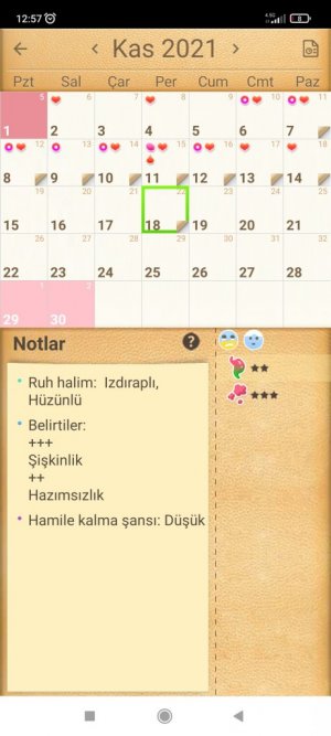 Screenshot_2021-11-18-12-57-13-045_com.popularapp.periodcalendar.jpg