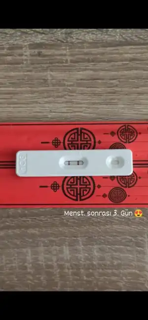 Screenshot_2021-11-20-13-33-02-297_com.miui.gallery.webp