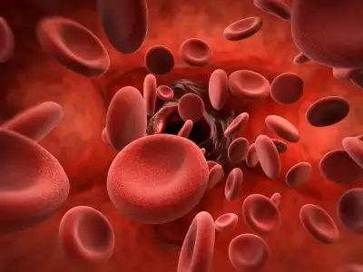 hemoglabin-hbg-nedir-belirtileri.webp