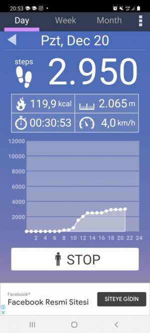 Screenshot_20211220-205310_Pedometer.jpg