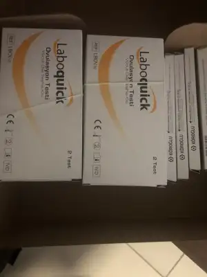 772C0F2D-15AA-4D6E-925E-58290EE6D207.webp