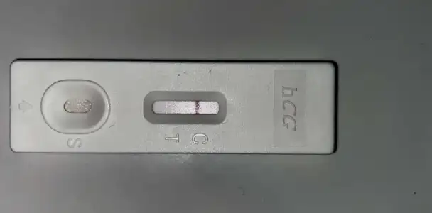 2ACB5C5A-E007-48B8-B027-A85DA525DD2F.webp