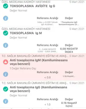 B149ABED-2F80-43B8-95DA-E6768D5788F8.webp