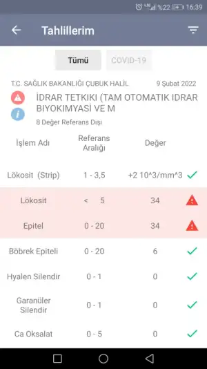 Screenshot_20220209-163958.webp