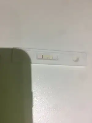 image.webp