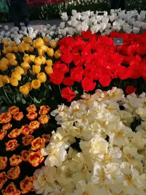 IMG_20220326_163617.webp
